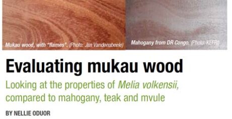 Eavaluate mukau wood
