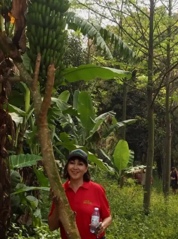 Alina Lundberg next to a banana tree in Dokolo with the Melia azedarach tree in the background.