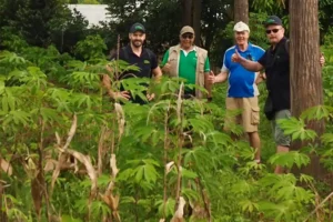 Our team TPS - BGF in a nice Agroforestry environment. What grows between the trees is cassava, which is one of the most important staple foods in the world and also in Uganda.