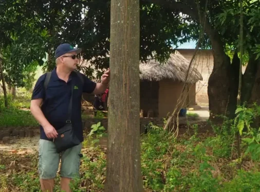 Rickard Isaksson at a Melia azedarach mahogany tree. The tree already has a diameter of 20 cm at 4 years old.