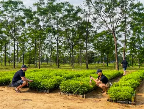 Members of TPS management in our nursery. Observe the trees in the background, Melia azedarach or Chinaberry, barely 6 years old. Photo TPS